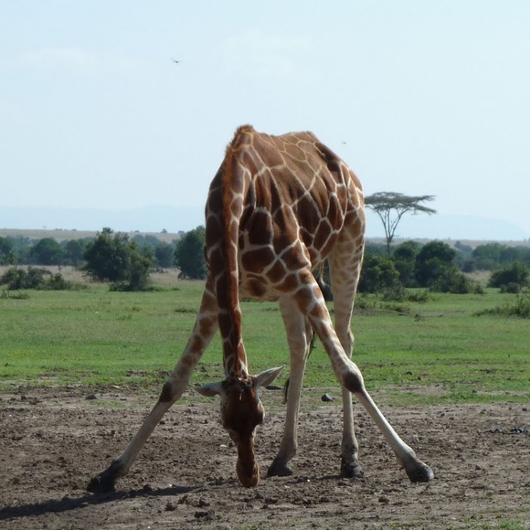 Meet your Posher, Ashley - Picture 1 of 1